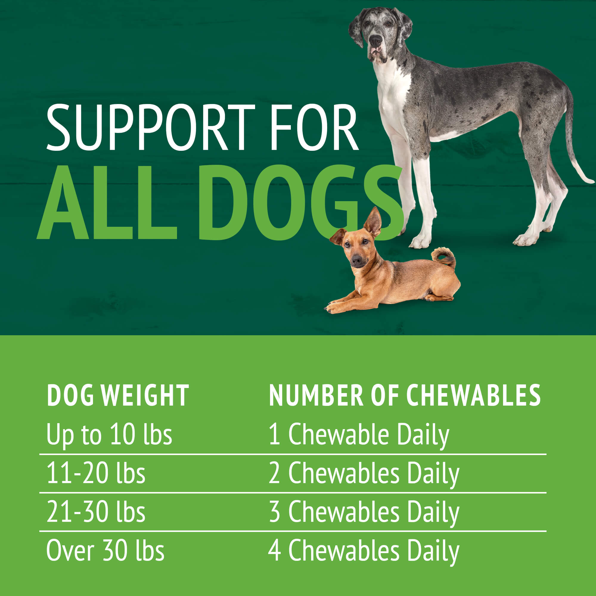 Petnc Natural Care Brewers Yeast for Dogs