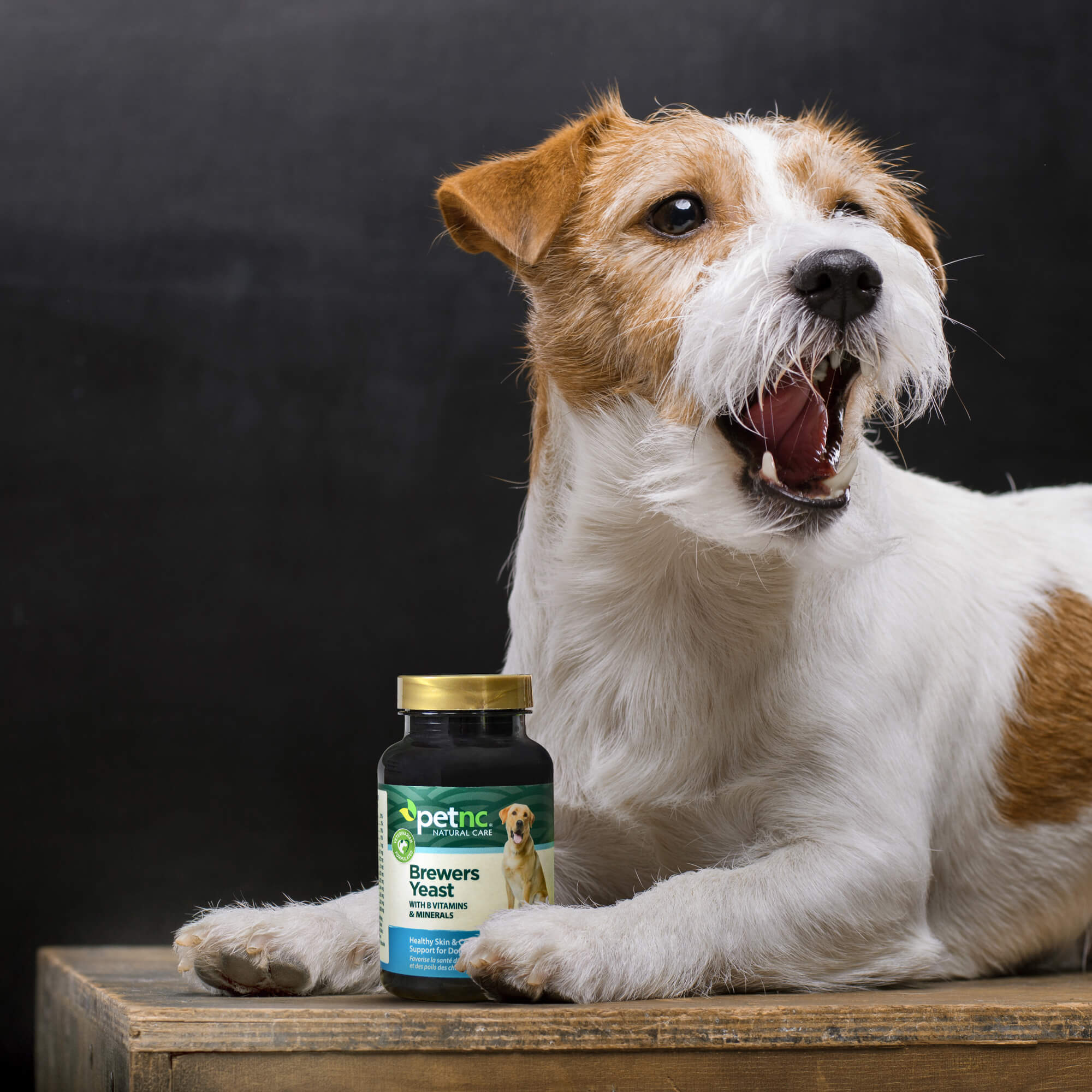 Petnc Natural Care Brewers Yeast for Dogs