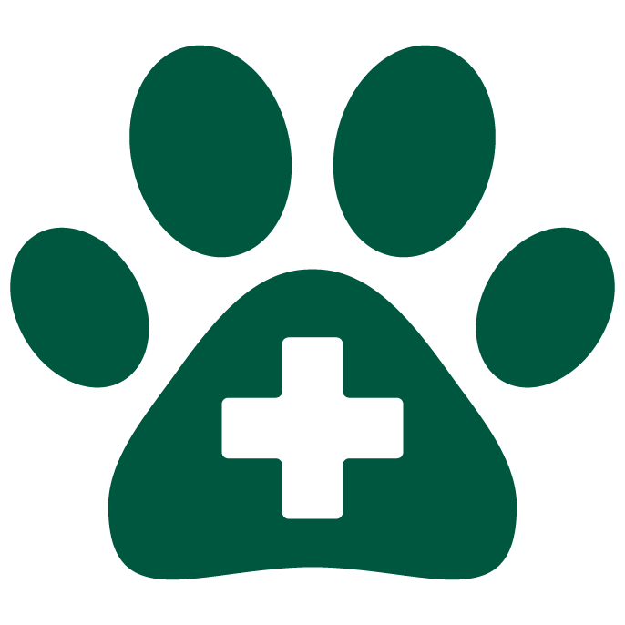 Pet First Aid Items You Should Always Have on Hand